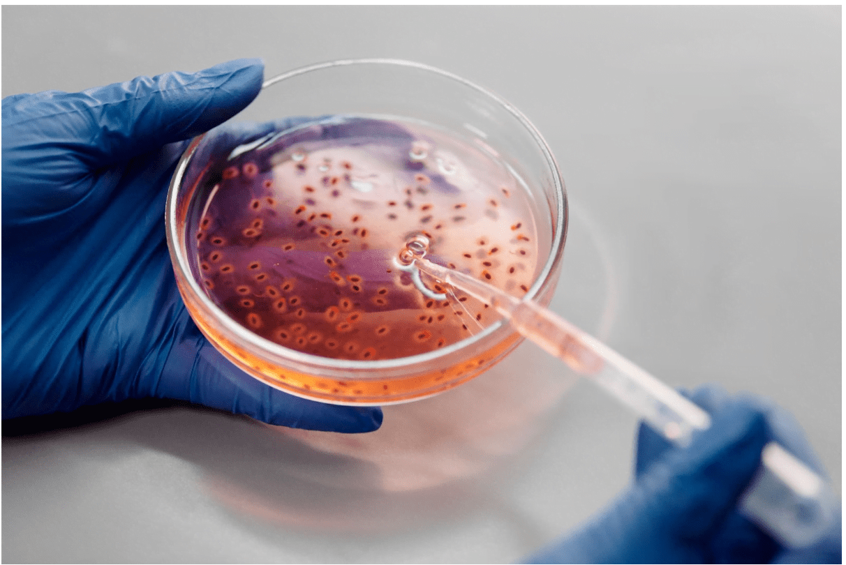 Cele mai comune simptome ale infectiilor bacteriene