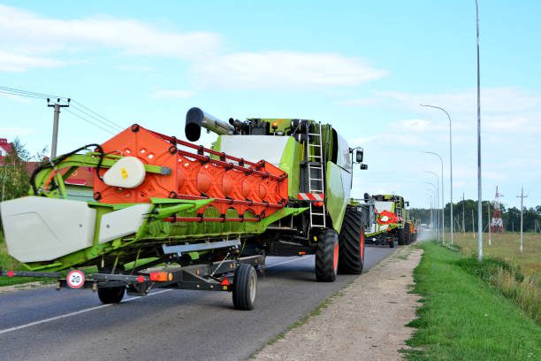 Cum se întrețin hederele: Ghid pentru agricultori
