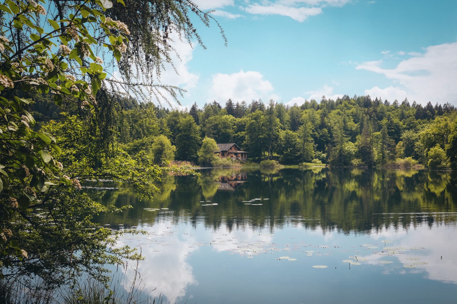 Lacul Vidraru – care este povestea acestui baraj și ce poți vedea aici?