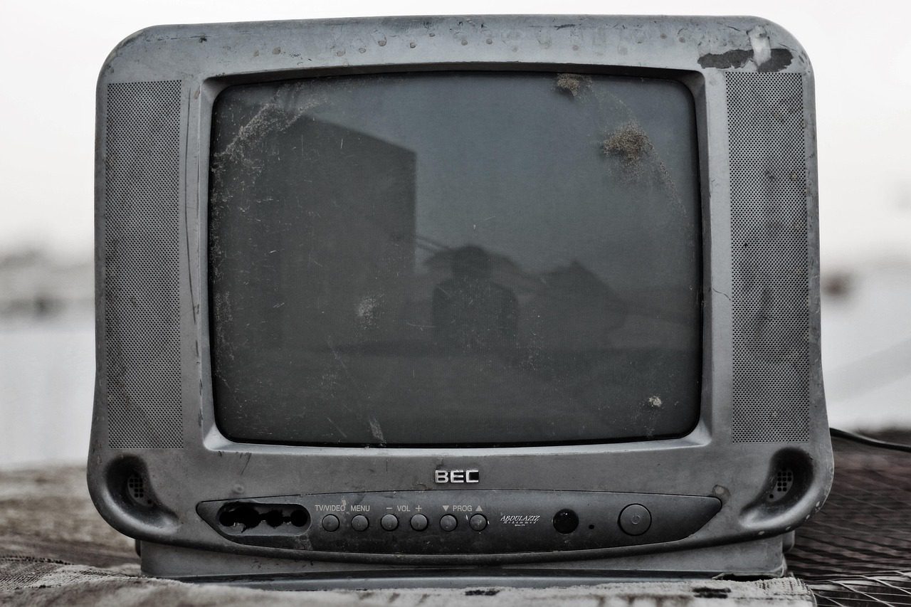 Casa iubirii online azi