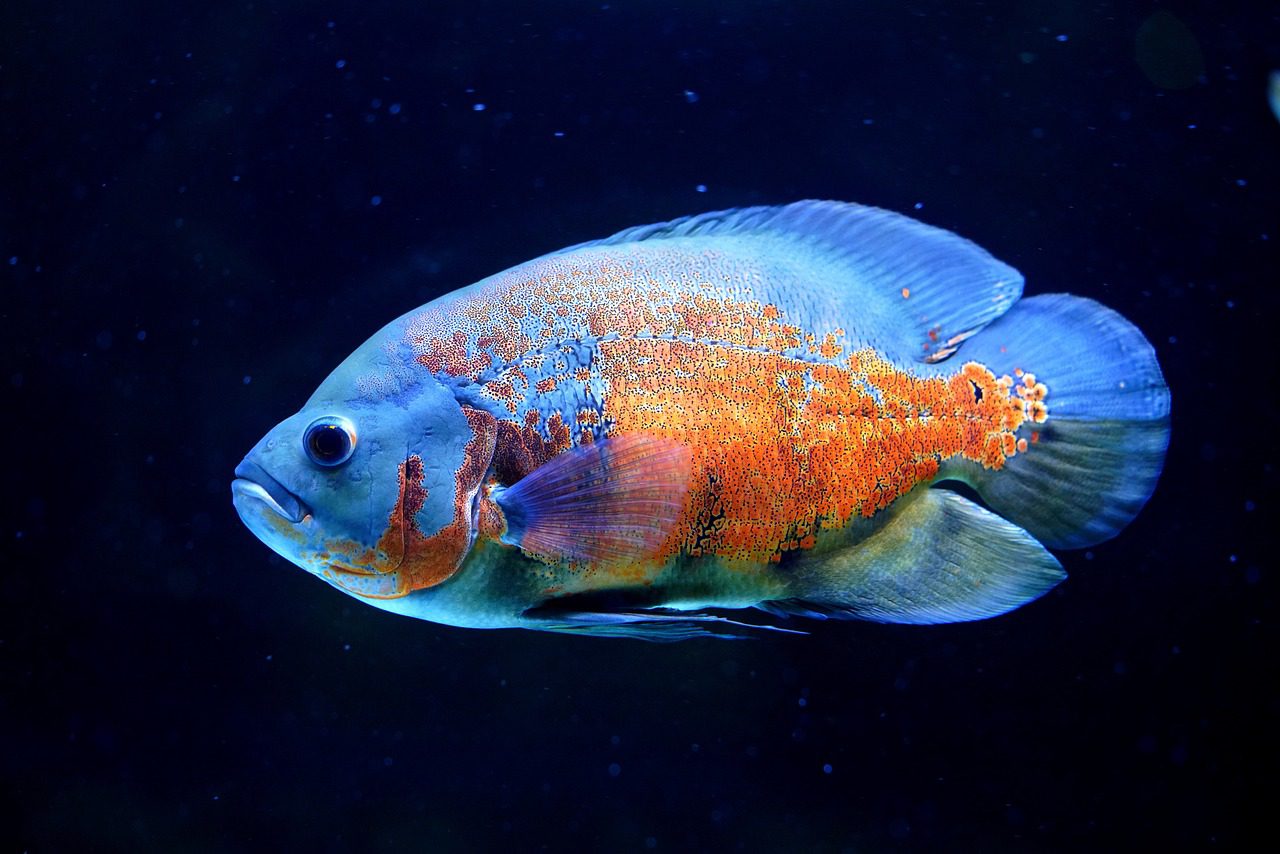 unde s-a filmat game of thrones